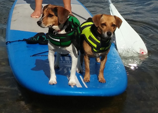 lifejacket
